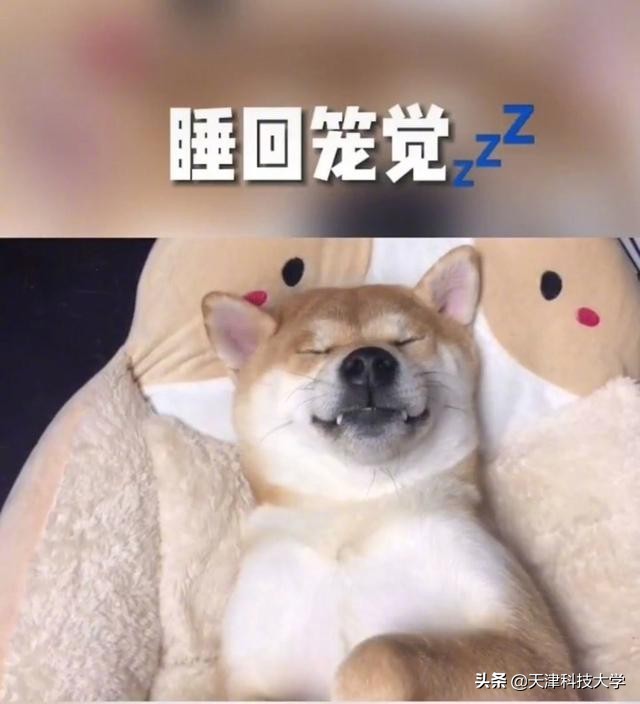 揭秘大学生的真实日常！