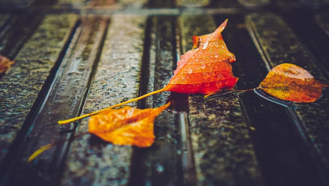 下雨时，最适合发朋友圈的30句诗词