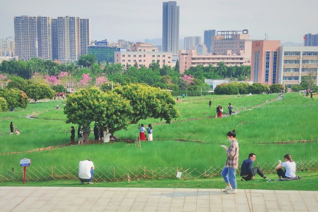 不要错过，深圳十大适合小朋友的免费又好玩的地方