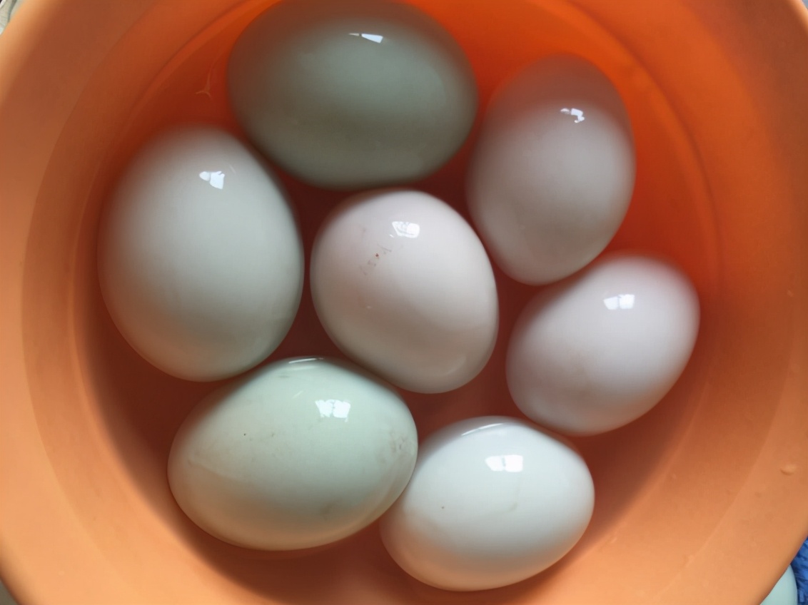 咸鸭蛋能保存多久（保存咸鸭蛋用2物处理后放冰箱保鲜）