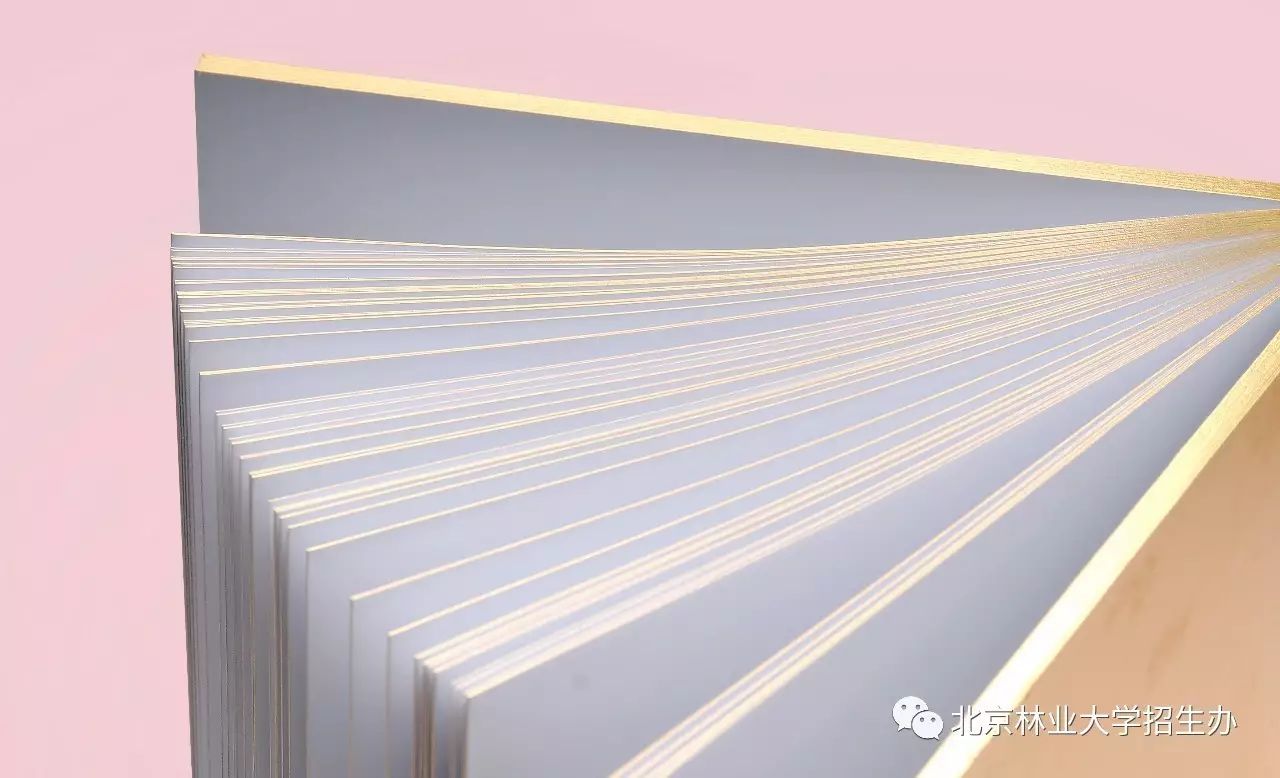 为了讲好八个字的校训，这所学校用了三年...