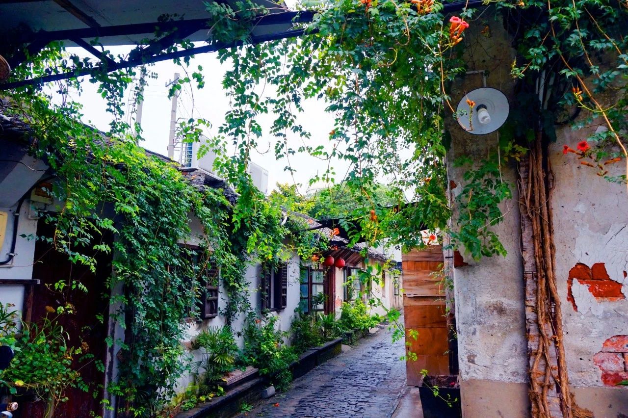 八首温柔诗词：愿被岁月温柔以待，不负流年