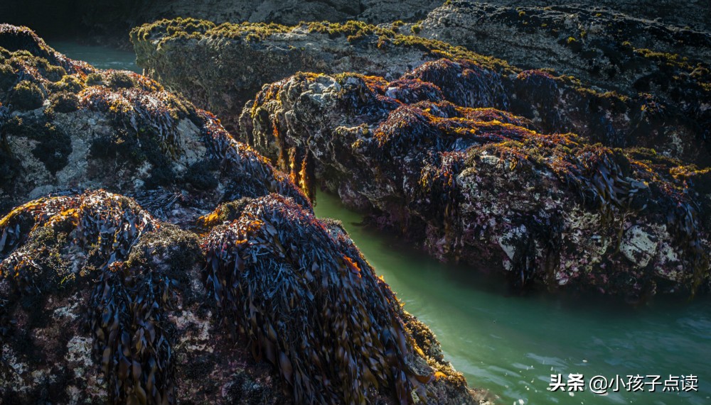 音乐诗句_描写音乐的50首古诗