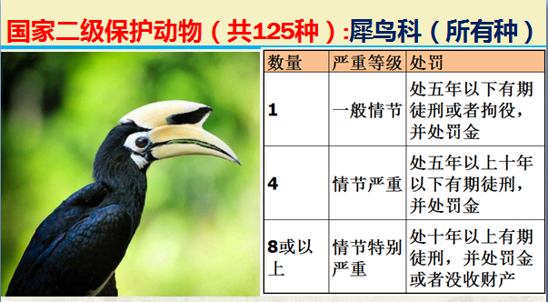 国家保护动物分几个等级（125类二级野生保护名录）