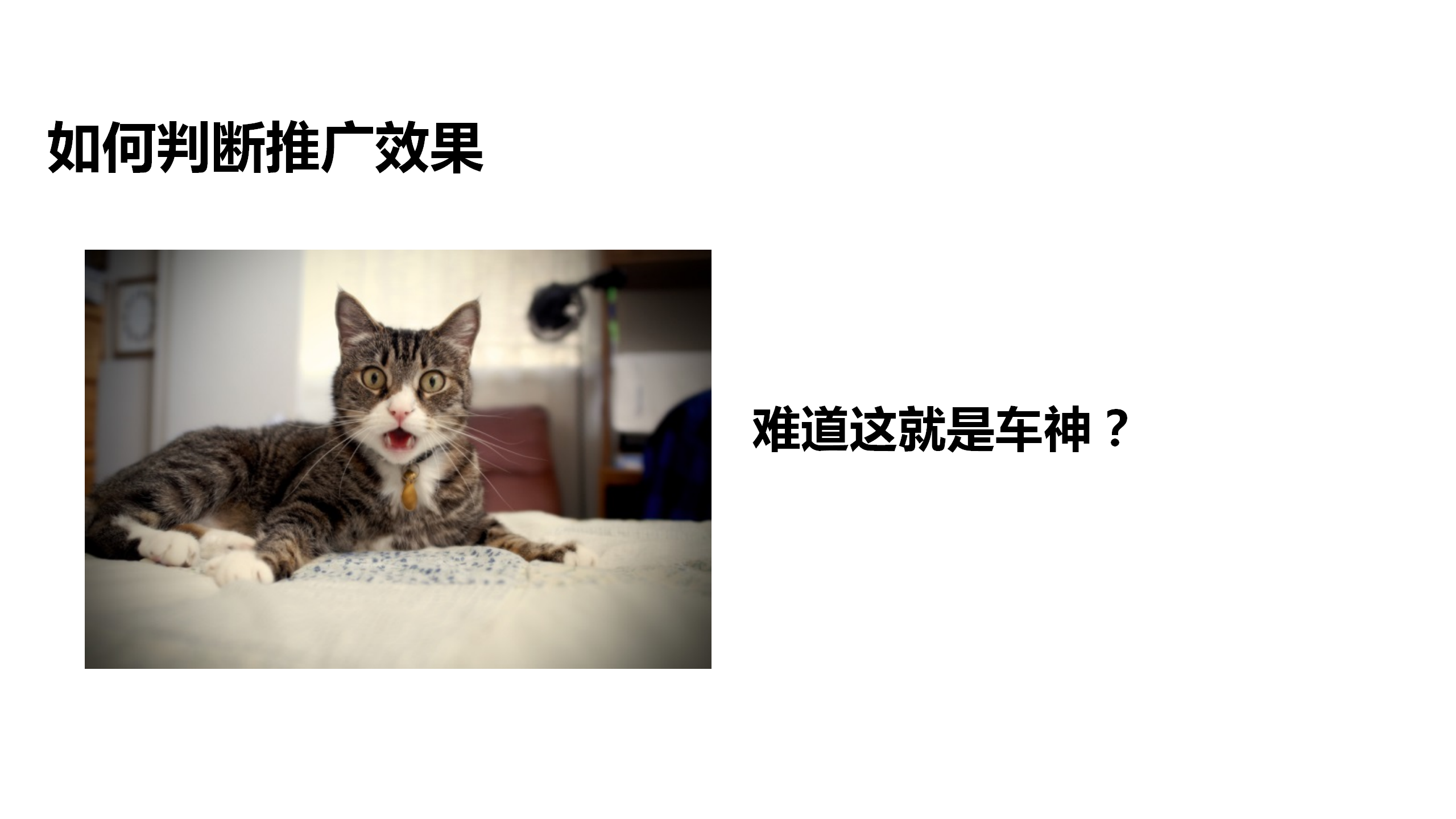 电商运营培训课件：第一课，电商推广养成之道，电商的核心是流量