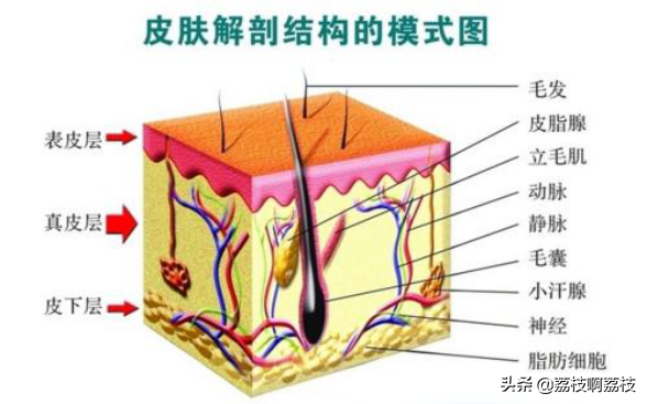 掏了室友脸上一颗大黑头，留了一个大洞，该怎么办？