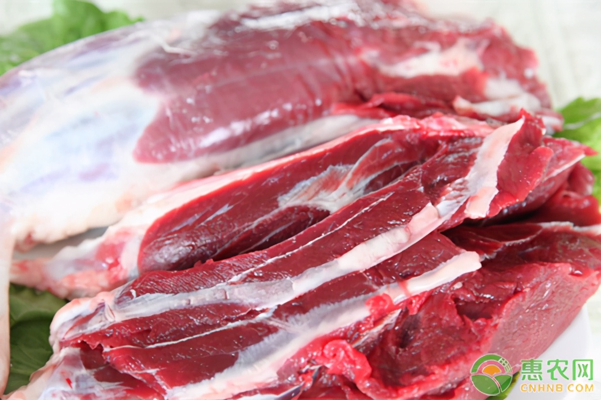 今日牛肉价格多少钱一斤？牛肉价格还会持续上涨吗？