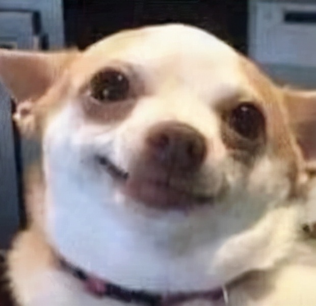 修个机场就探出了3500座古墓，西安快把「墓光之城」的称号坐实了