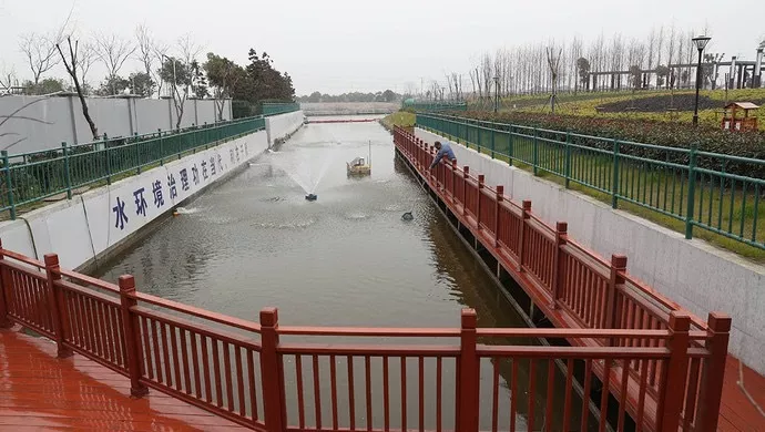 上海大学：中国大陆