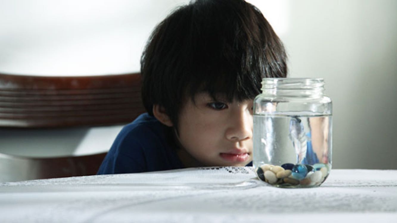 自闭症的小孩有哪些表现(孩子自闭症有哪些表现?