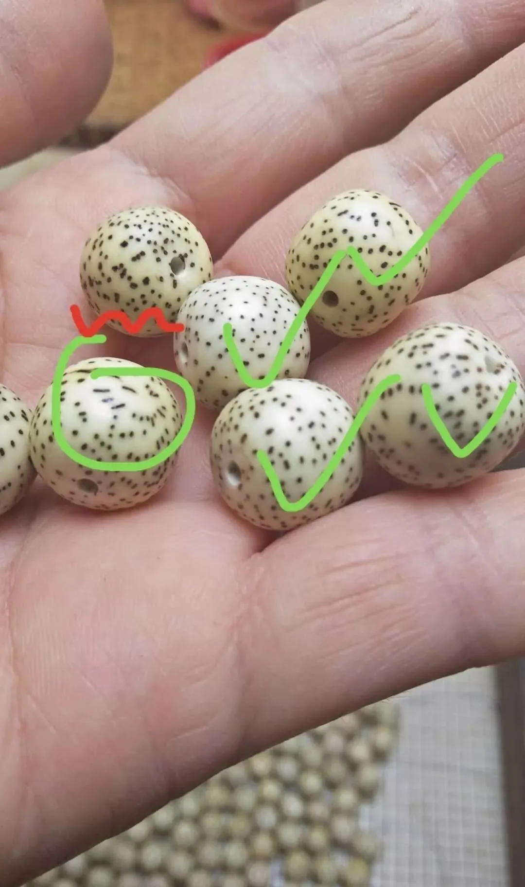 星月菩提是什么树的果实(什么样的星月菩提值得收藏和盘玩?