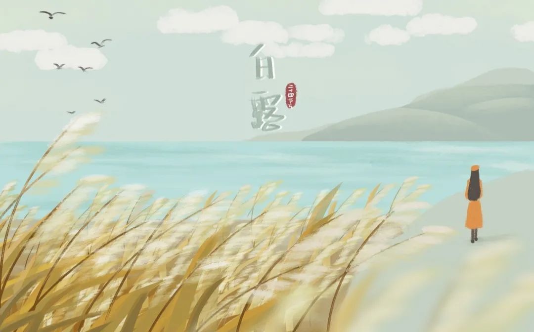 最美的5首白露诗词，清风白露，岁月无忧