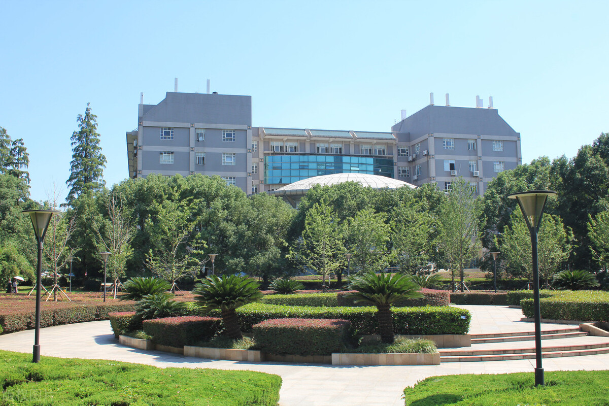 艺术类录取数据分析同济大学or武汉大学，你认为差距有多大？