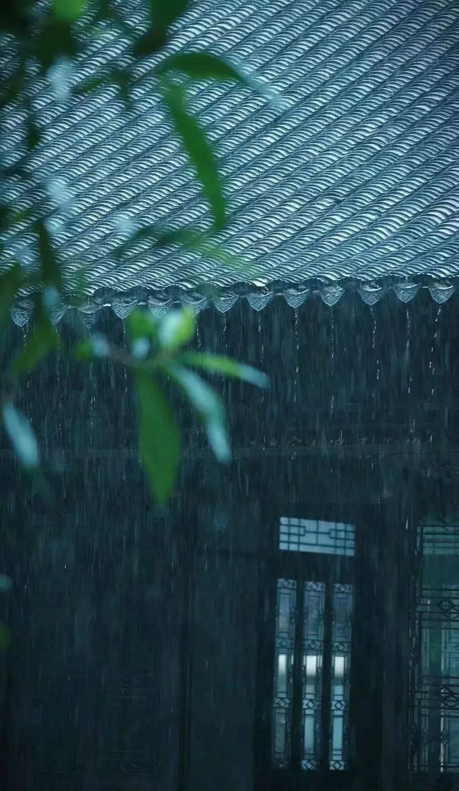 下雨天，随处都是景，怎么拍出意境？