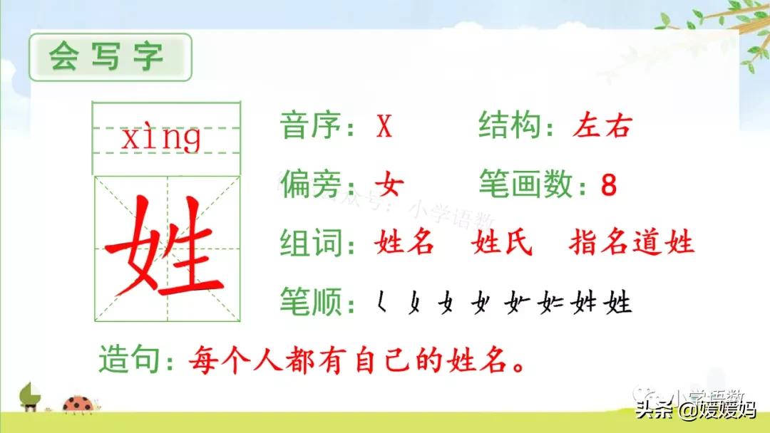一年级下册语文识字2《姓氏歌》图文详解及同步练习