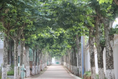 昆明市一等奖！云南农大附中2019年高考质量再登新高