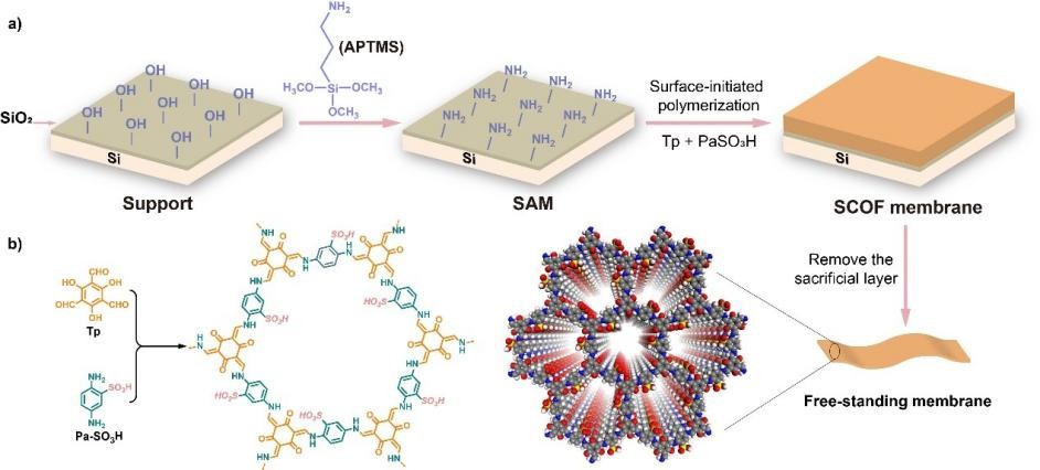 聚焦全球危机！东北一高校连出重磅成果，获国际关注
