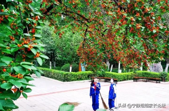 初升高家长注意！这7所公办高中，值得你关注