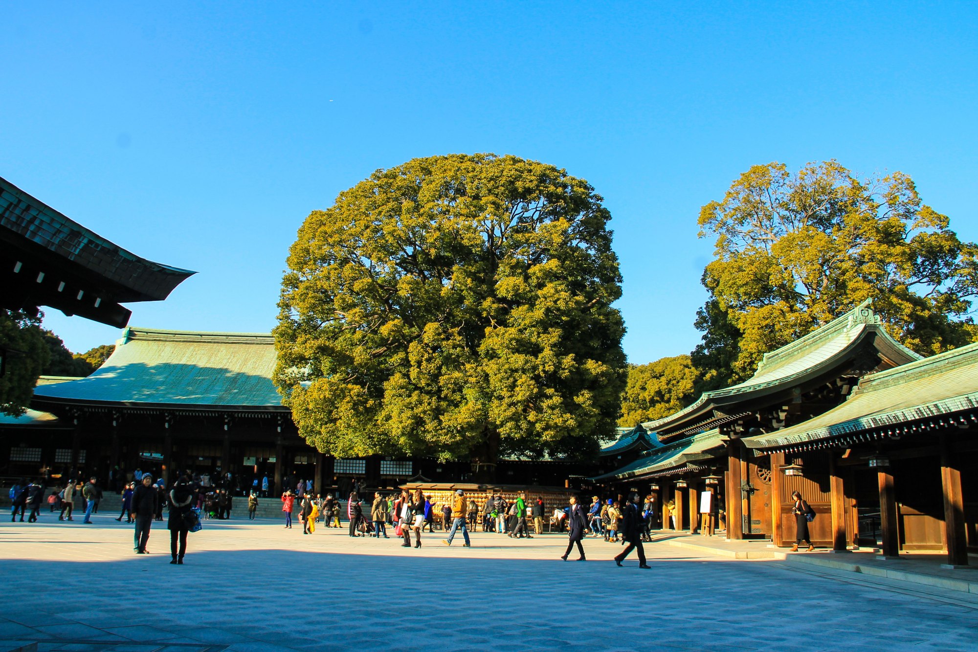 明治神宫:位于日本首都中心,却颇为幽静十分惬意