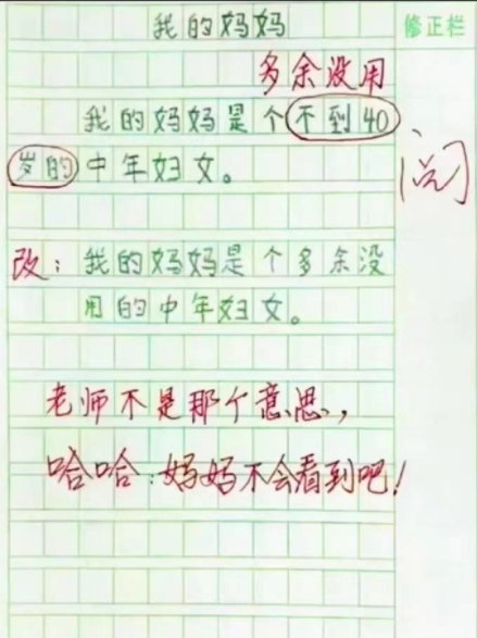 作文《我的小姨》走红，人物描写画面感太强，小姨：鸡毛掸子呢