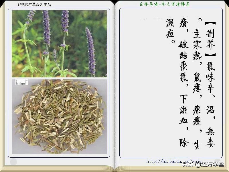 《神农本草经》全册图文解析 建议收藏