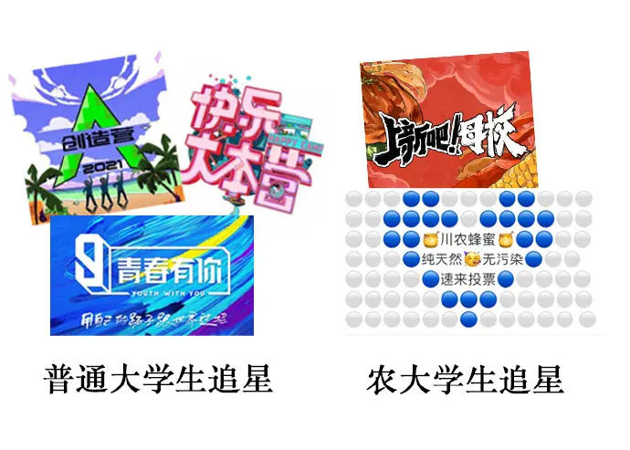 农业大学学生日常学习走红，图书馆前晒谷子，别人上课他们下田