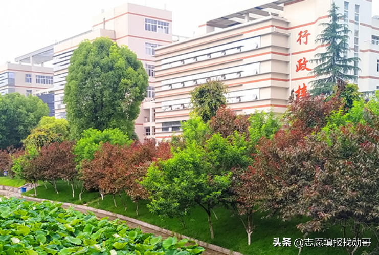 這所“双非”大學，深受国家电网“青睐”，考到就是赚到