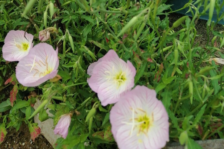 若不懂珍惜，就不配拥有