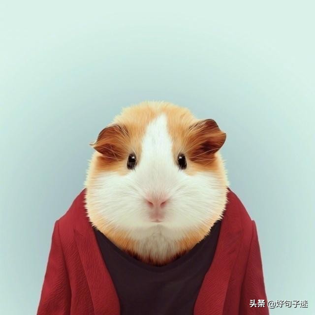 九月朋友圈经典现实的文案，一针见血，精辟到噎死人