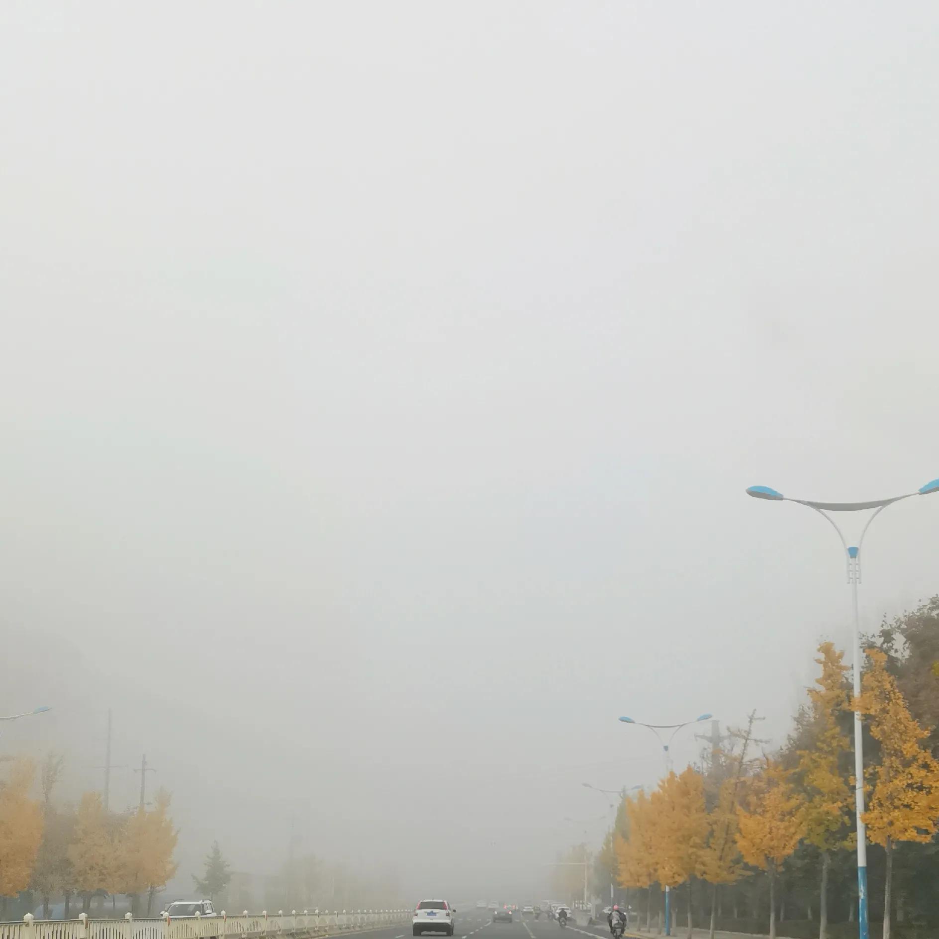 秋去冬来，烟火人间诗意向远——心暖，可抵千年寒