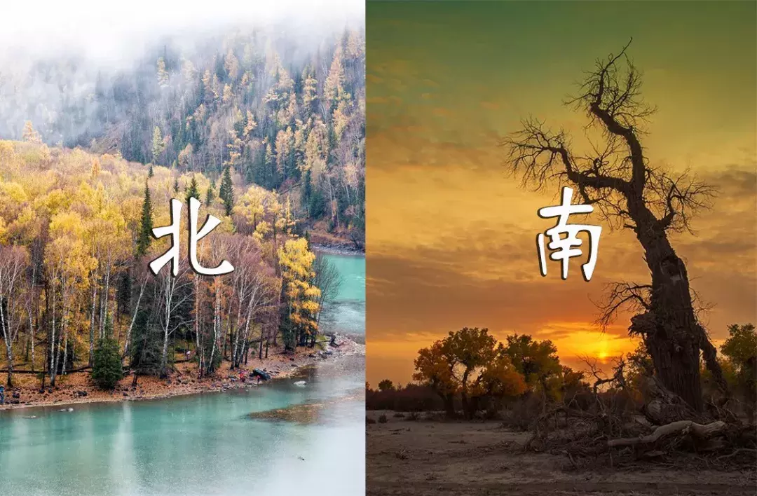 秋天一到,新疆又開啟了美拍模式