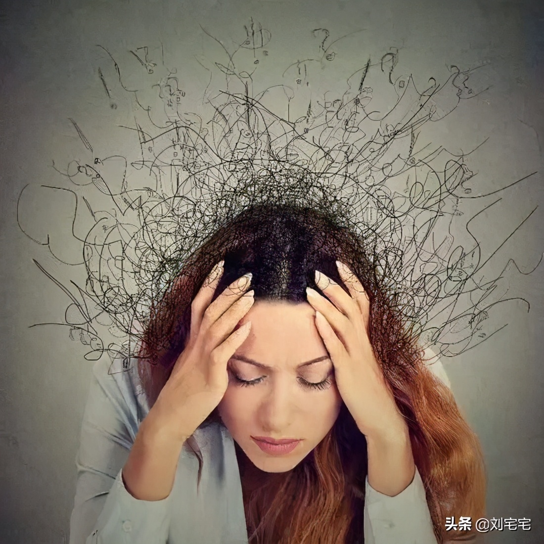 翟鸿燊简介 翟鸿-百联百科