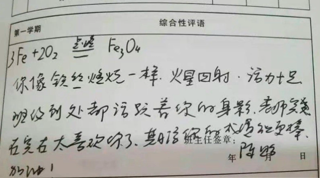 那些年老师写过的“神评语”，个个都是段子手，网友：奇葩又精准