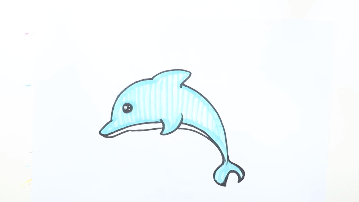 海豚怎么画又简单又漂亮(卡通海豚简笔画的画法大全)