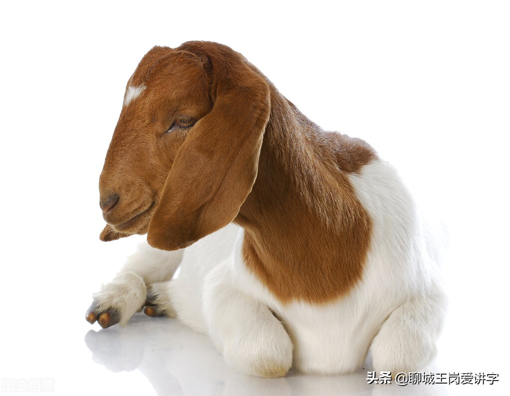 大有学问：汉字“媋”和“媄”你认识吗？2个最美的汉字