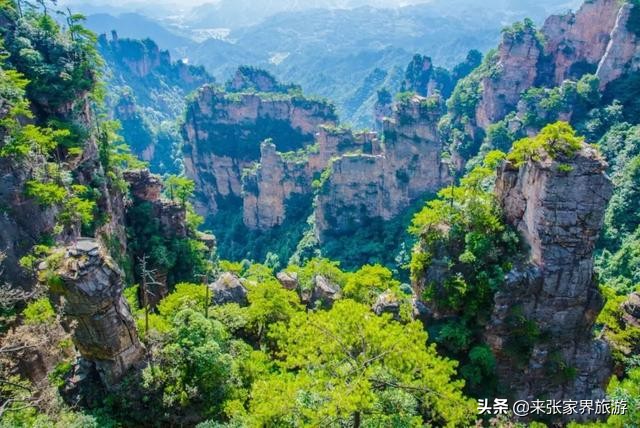 张家界三大王牌景区分布图，不走回头路的旅游线路推荐