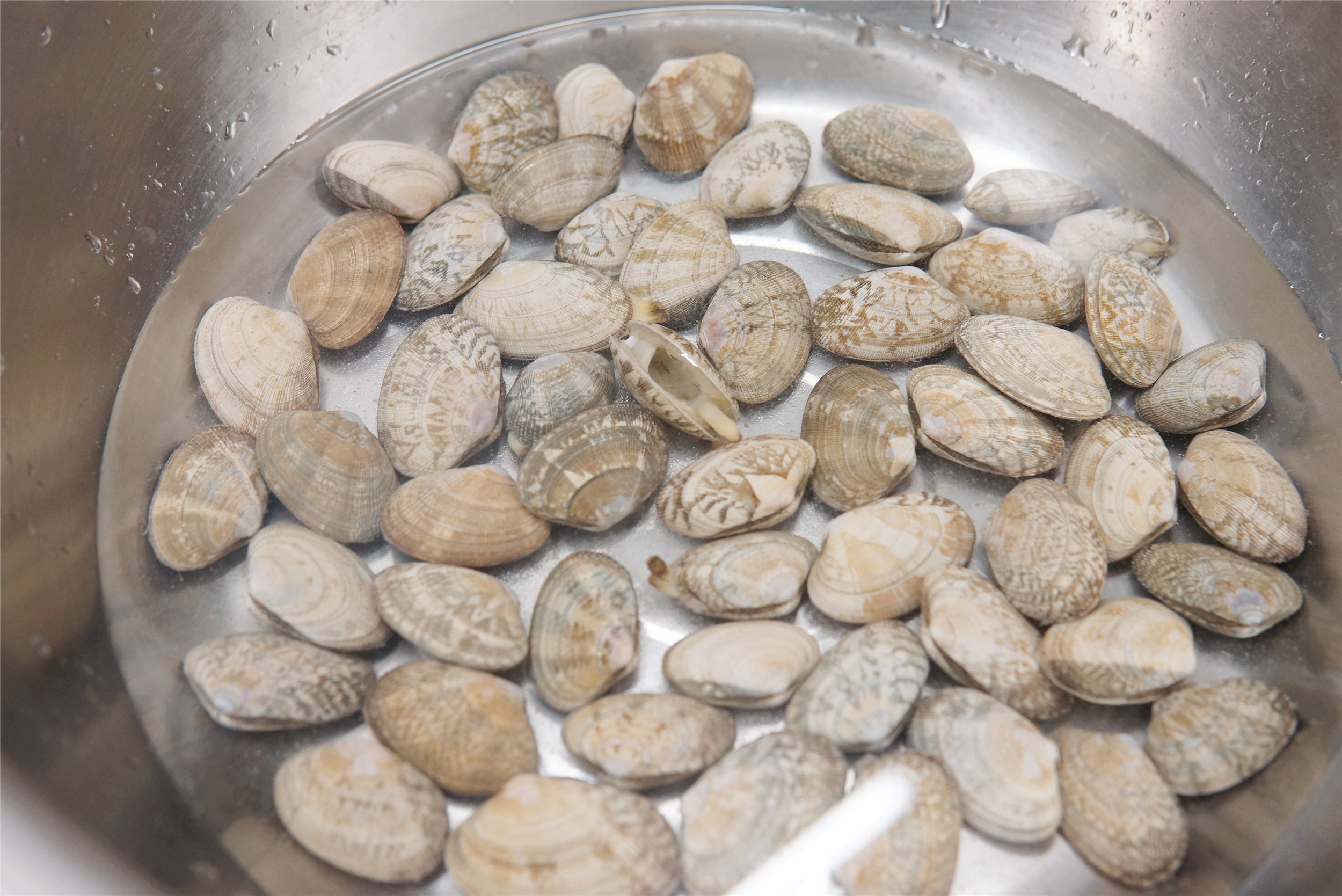 花甲吐沙,跟老渔民学了一招,不用油不用盐,半小时吐的特干净
