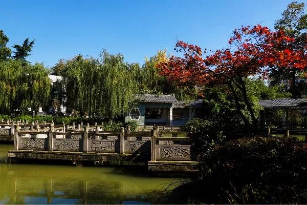 餐厅配备钢琴，三大校区美不胜收，还是西游记拍摄地！四川这所高校让人心动