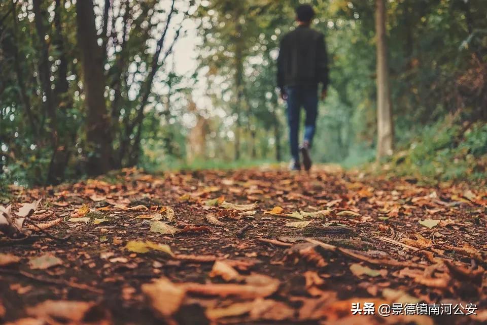 诗词丨20首洗涤心灵的诗词：岁月常静好，人间最值得！