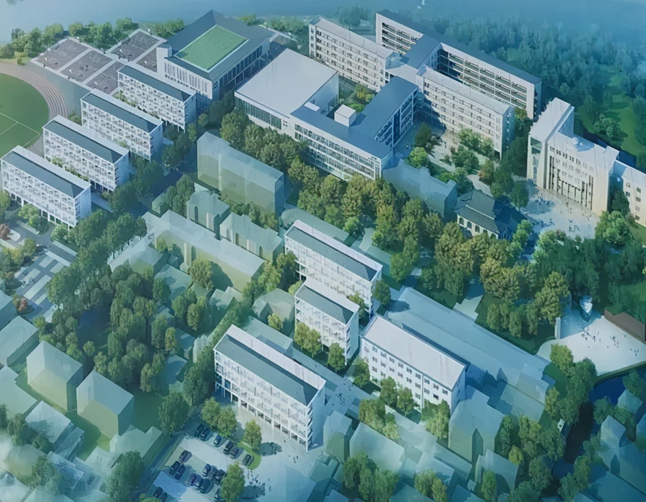 速看！今年15所新学校投用，你家周边有变化吗？