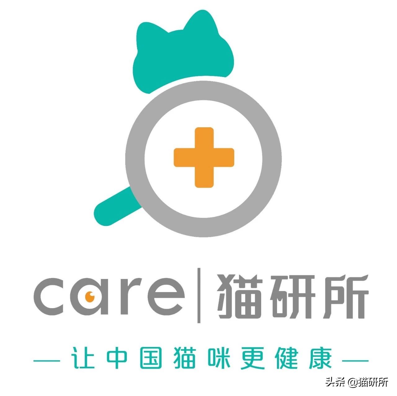 猫咪不是爱互殴就是乱咬人？盘点14种攻击行为的解决对策