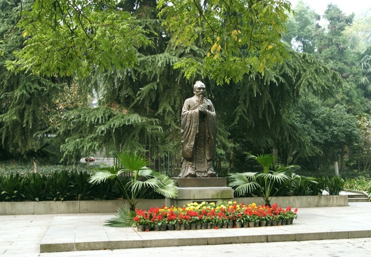 刘芳美术245分预估文化520分，能被南京师范大学录取吗？