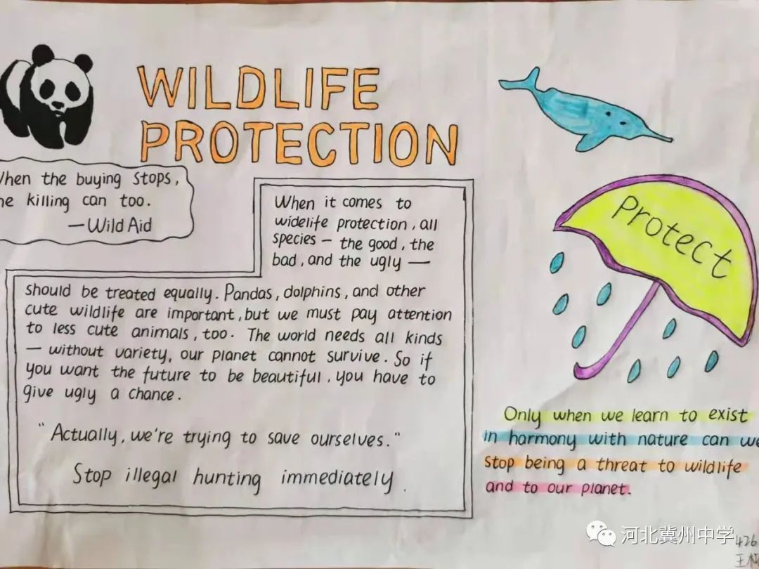 六年级英语俱乐部海报（高一英语组举办创意海报设计活动）