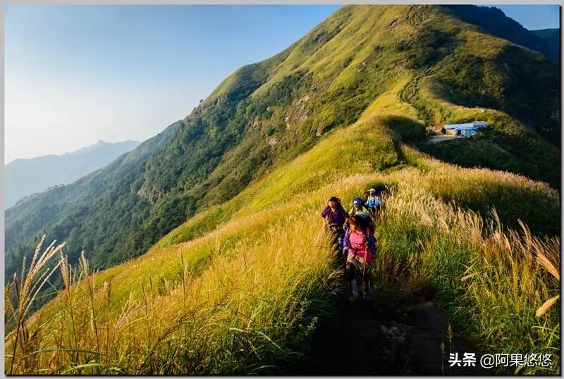 拾阶上险峰(自虐武功山)