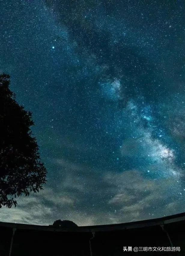 宝，有你和萤火虫的夜晚，才是最浪漫的仲夏