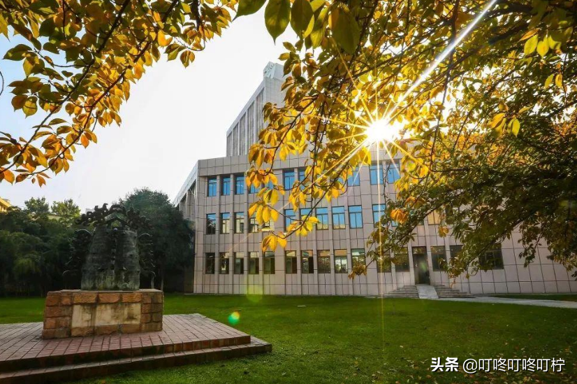 487分就能入985大学？中山大学招生遇“滑铁卢”，分数低出新高度