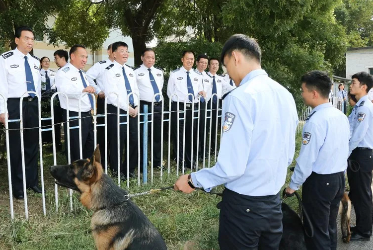 这所高校就业率很高，毕业生体制内就业属于常态，值得大家关注