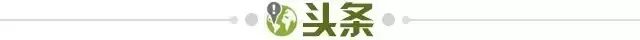 2021金球奖30人获选名单出炉(金球奖30人名单公布，但悬念已经没有了...)