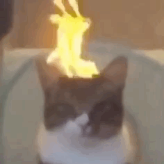 与大学生“网恋”一个半月骗得318万，“照骗”主播被刑拘