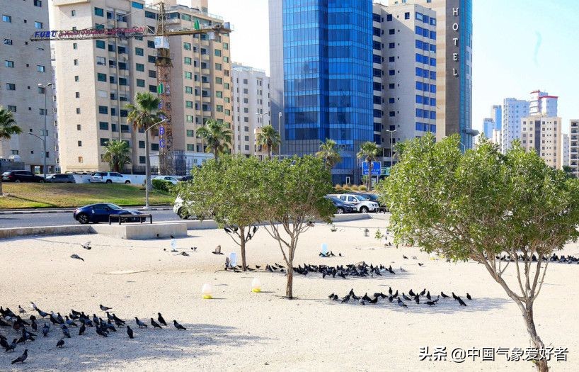 科威特温度爆表（美国“高温波”袭击全球，科威特再现73度高温！气候确实有点乱了）-华海博客